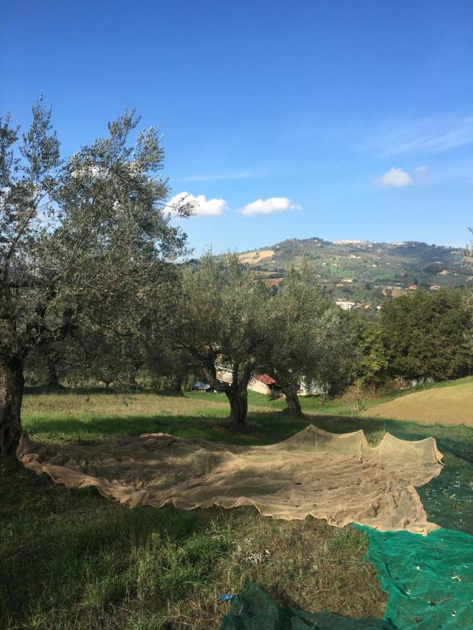 B&B La Casa Di Giuliana Cermignano Exteriér fotografie