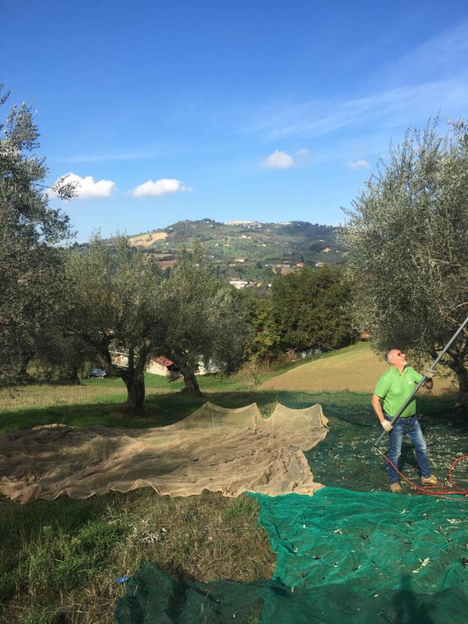 B&B La Casa Di Giuliana Cermignano Exteriér fotografie
